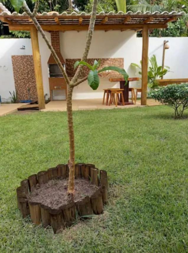 A1 Residence Marau  Luaran gambar